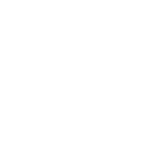 Logo 2 LSS Logistics