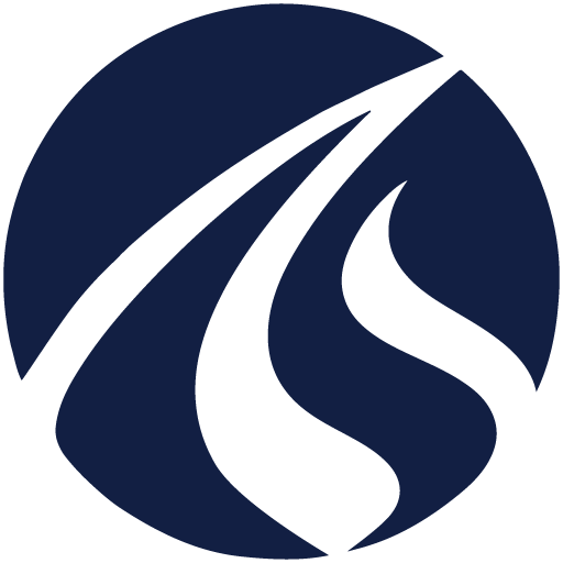 Logo LSS Logistics